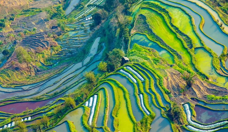 走进东莞TVC拍摄：解锁本地化场景与创意镜头的完美融合